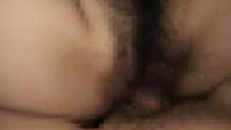 Furry asian
